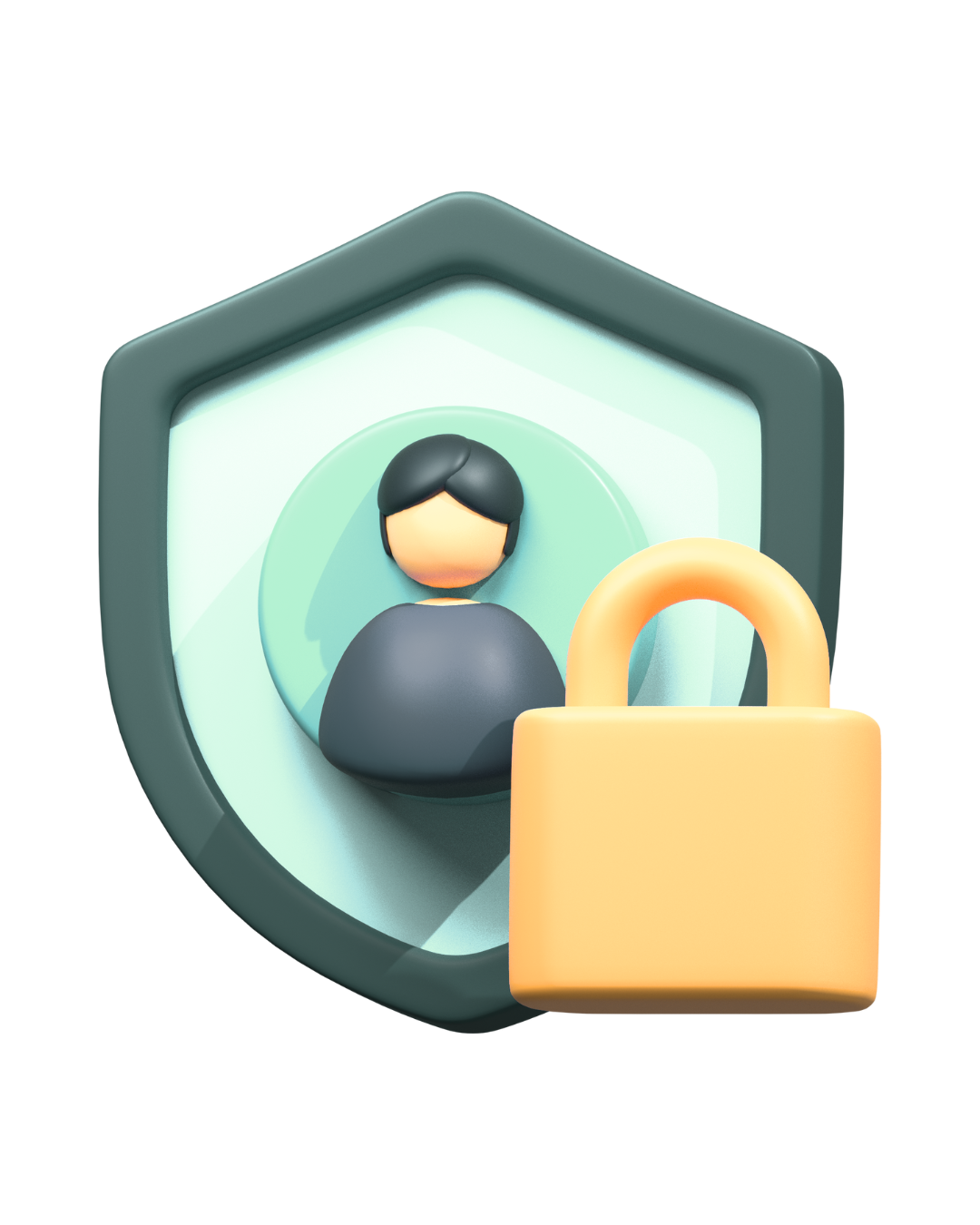 Privacy Icon